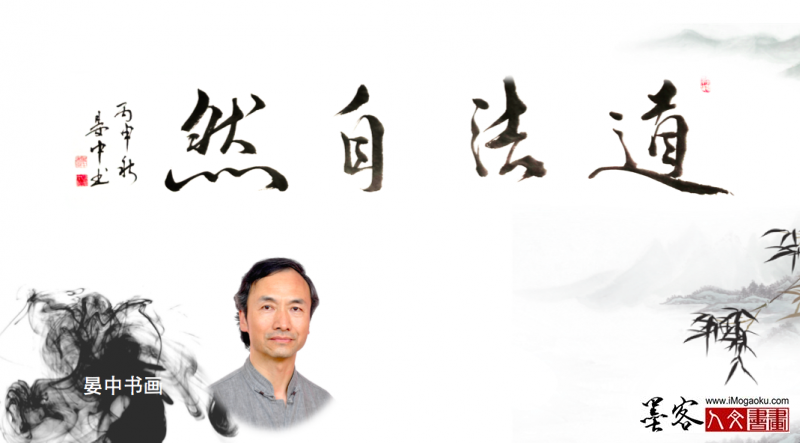 墨客人文书画之张彦中书法3