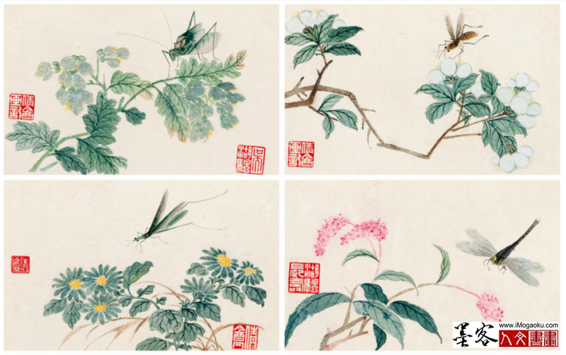 墨客人文书画之张彦中辑吴湖帆花鸟画8