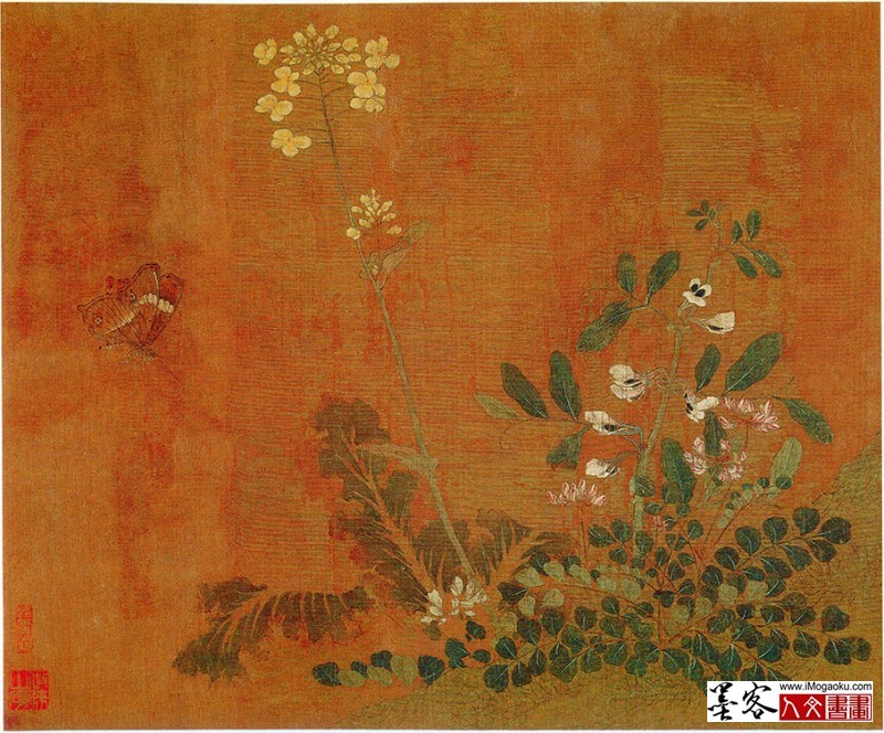 0117-C五代-黄居寀-花卉写生图册FD (13)w