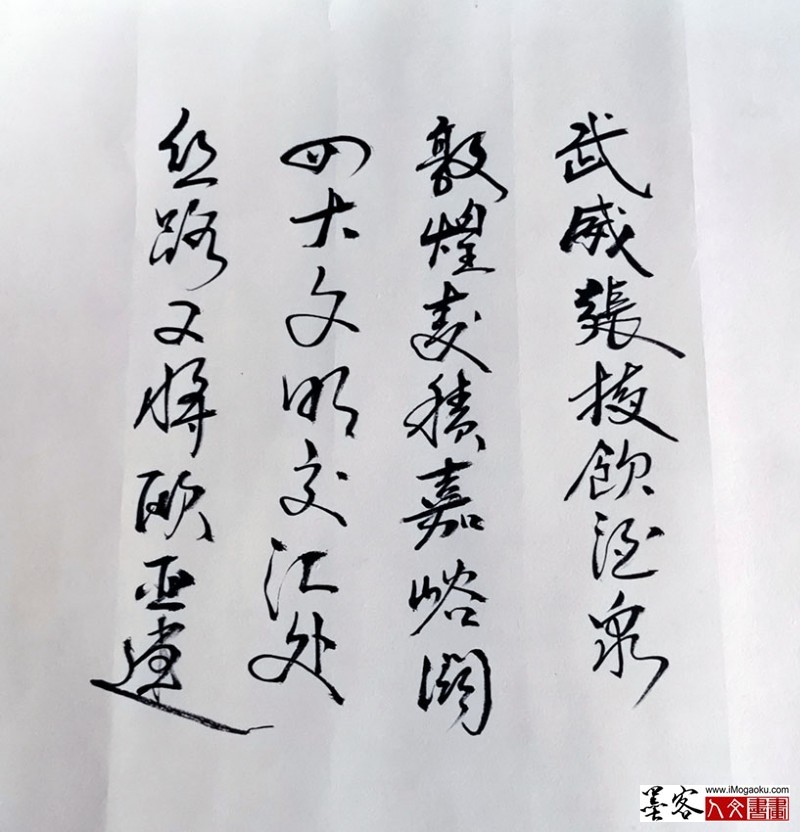 张贝尔《万里河山图》 (15)W