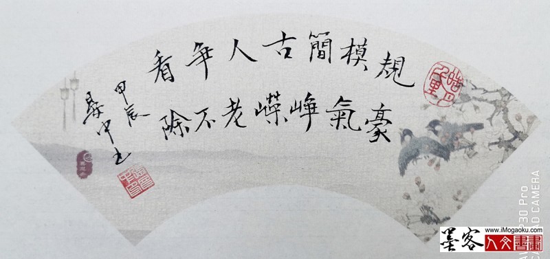 张彦中书法2024秋冬书简 (24)m