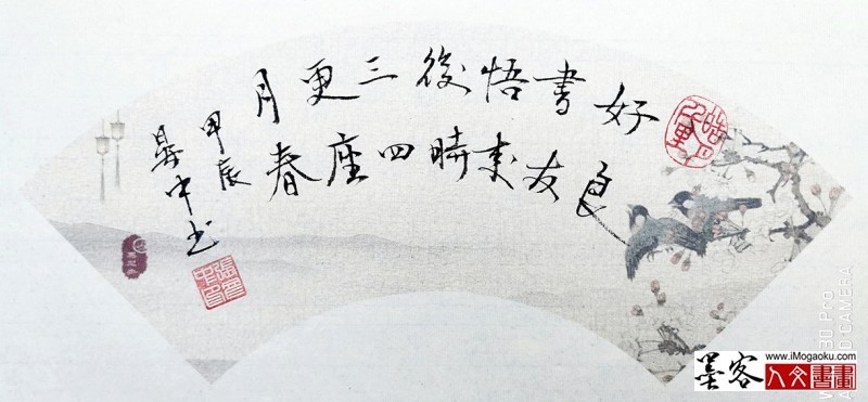 张彦中书法2024秋冬书简 (19)m