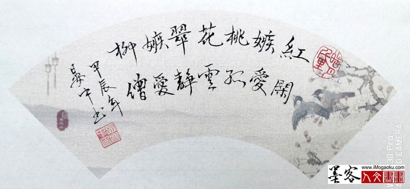 张彦中书法2024秋冬书简 (12)m