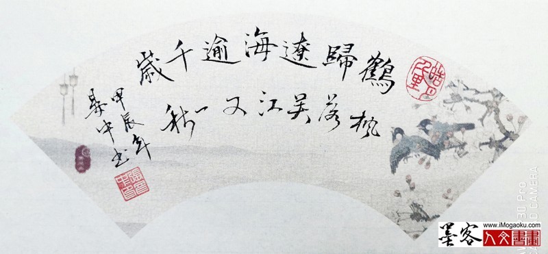 张彦中书法2024秋冬书简 (13)m