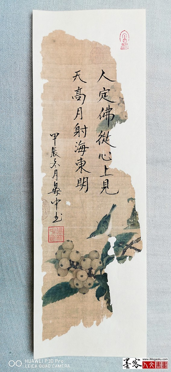 张彦中书法2024冬彩笺 (141)M