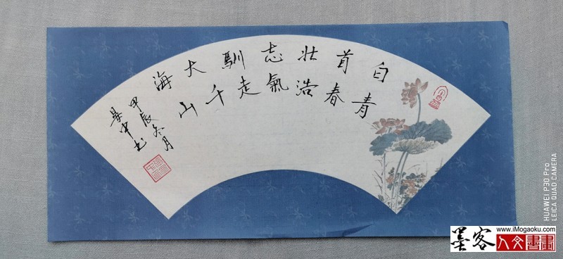 张彦中书法2024冬彩笺 (148)M