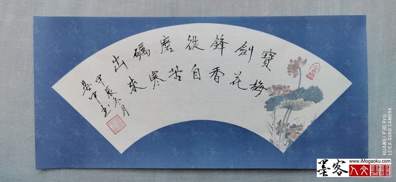 张彦中书法2024冬彩笺 (156)M