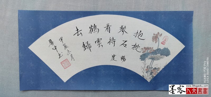 张彦中书法2024冬彩笺 (157)M