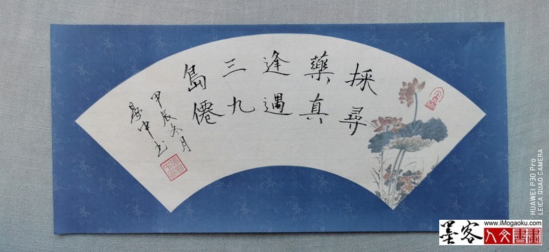 张彦中书法2024冬彩笺 (166)M