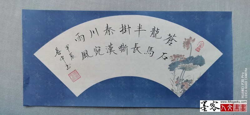 张彦中书法2024冬彩笺 (167)M