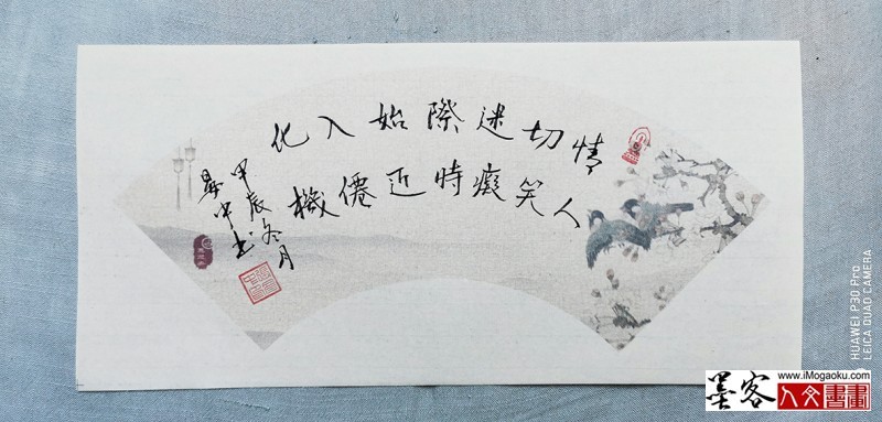 张彦中书法2024冬彩笺 (193)M