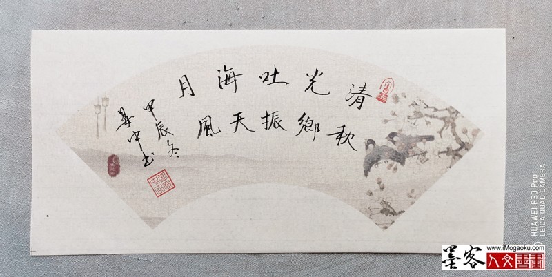 张彦中书法2024冬彩笺 (197)M