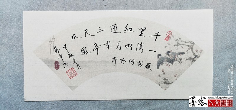 张彦中书法2024冬彩笺 (200)M