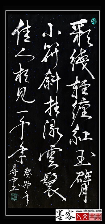 202305张彦中书法 (123)S白