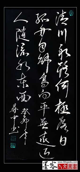 202305张彦中书法 (149)SF