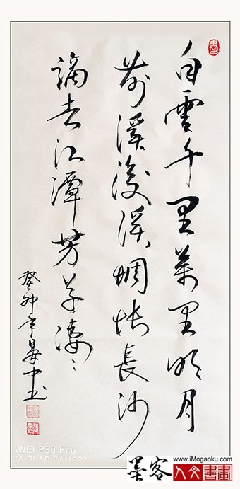 202305张彦中书法 (156)S